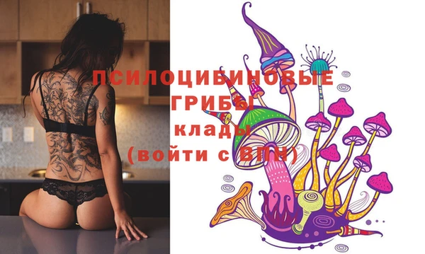 МДПВ Алексеевка