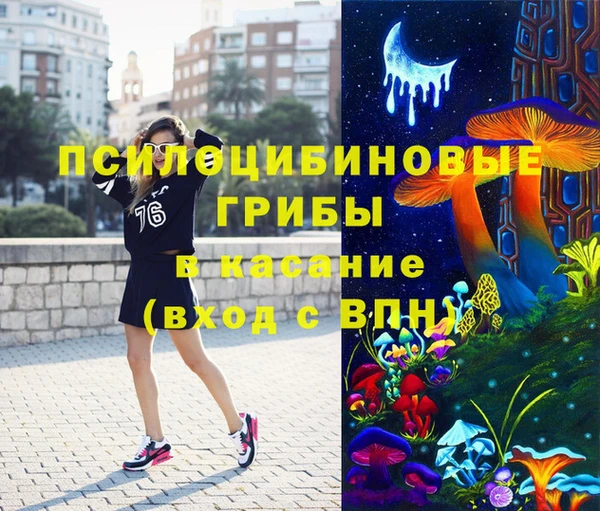 МДПВ Алексеевка