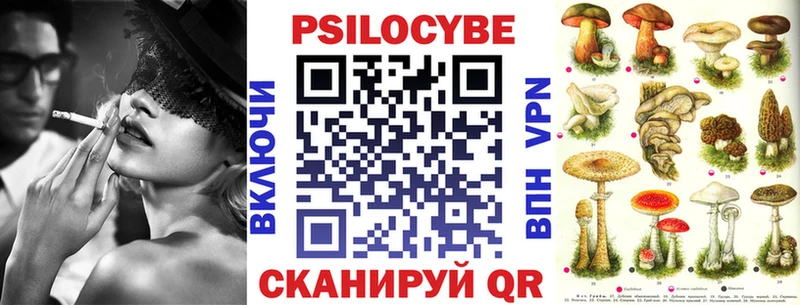 Псилоцибиновые грибы Cubensis  Нурлат 